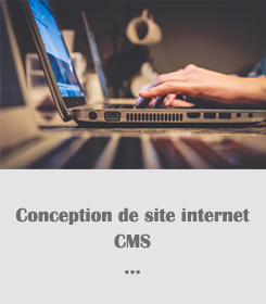 website.png